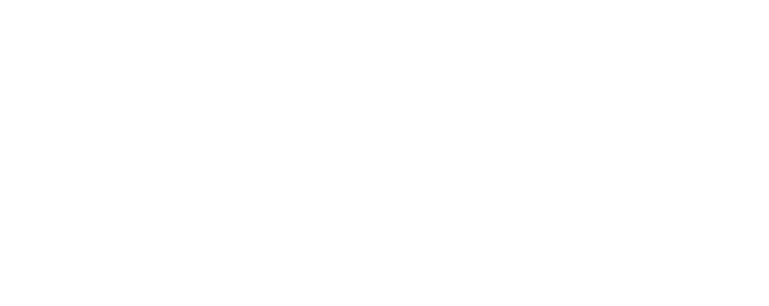 BigM